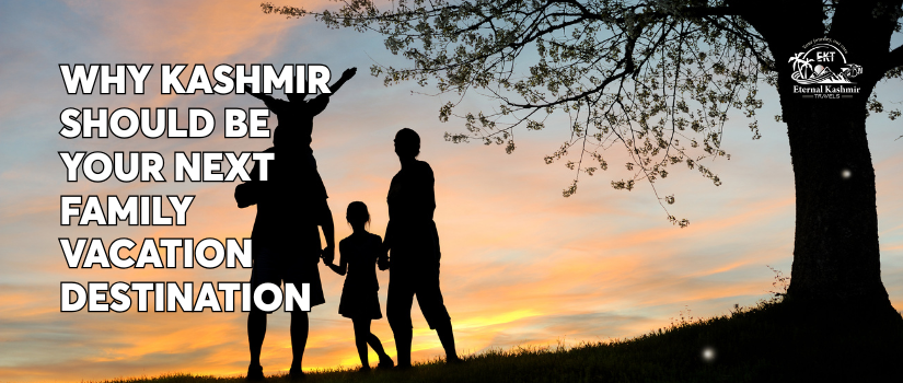 Why Kashmir Should Be Your Next Family Vacation Destination