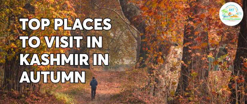 Top Places to Visit in Kashmir in Autumn
