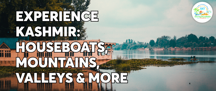 Experience Kashmir: Houseboats, Mountains, Valleys & More