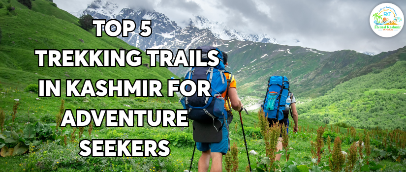 Top 5 Trekking Trails in Kashmir for Adventure Seekers