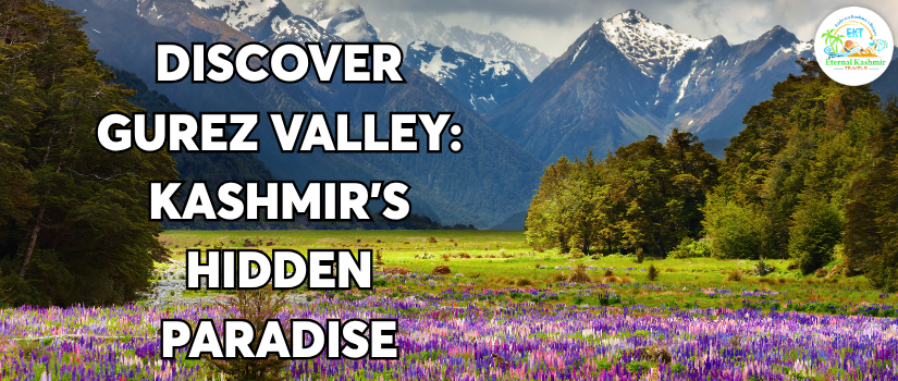 Discover Gurez Valley: Kashmir's Hidden Paradise