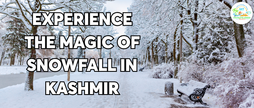 Experience the Magic of Snowfall in Kashmir