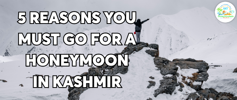 5 Reasons You Must Go For a Honeymoon in Kashmir